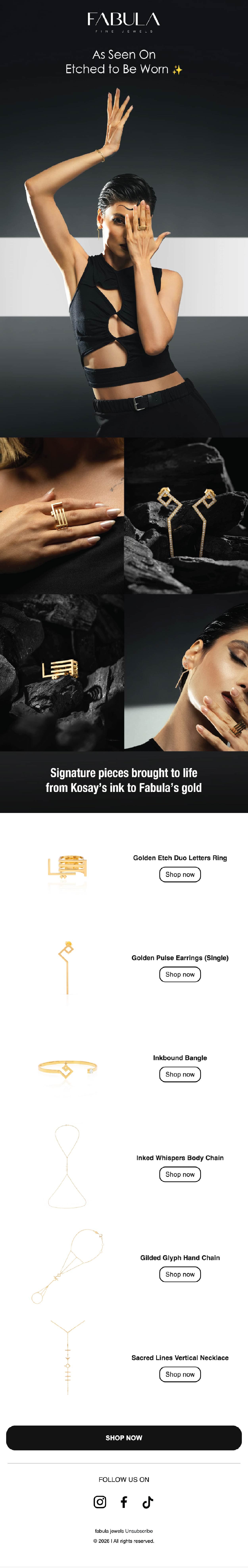 Emails portfolio preview