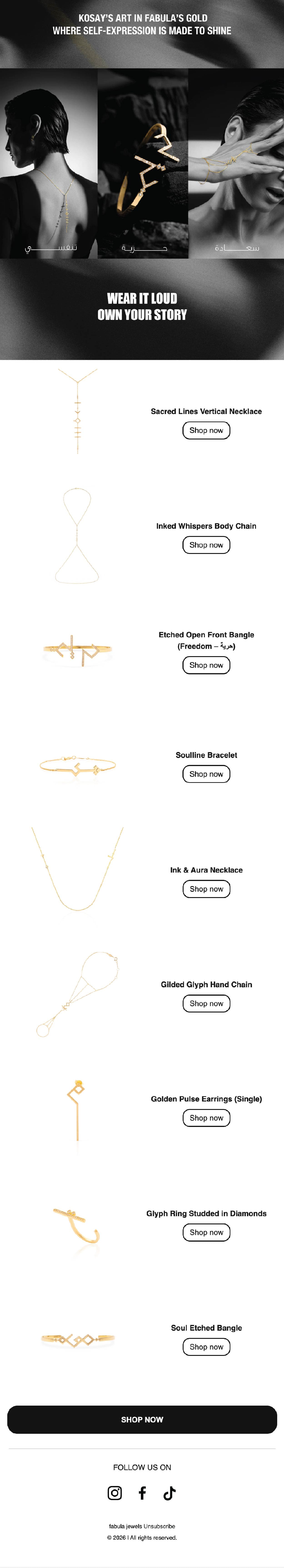 Emails portfolio preview